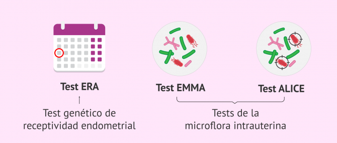 Imagen: Pruebas de receptividad endometrial