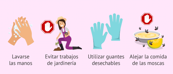 Imagen: Medidas higiénicas contra la toxoplasmosis