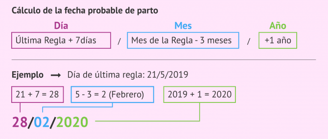 Imagen: Regla de Naegele