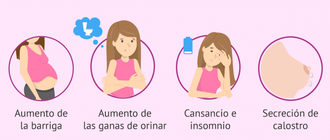 Imagen: Síntomas en el segundo y tercer trimestre de embarazo