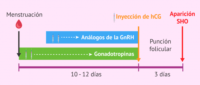 Imagen: Factores desencadenantes del SHO