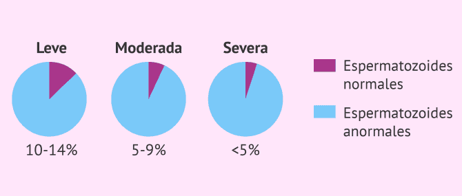 Imagen: Porcentaje de espermatozoides normales