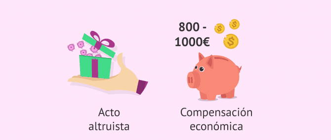 Imagen: Criterios en la donación de óvulos