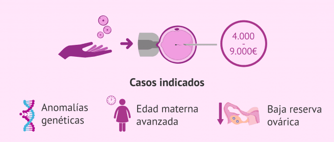 Imagen: Coste de la FIV con ovodonación