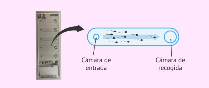 Imagen: Dispositivo Chip Fertile