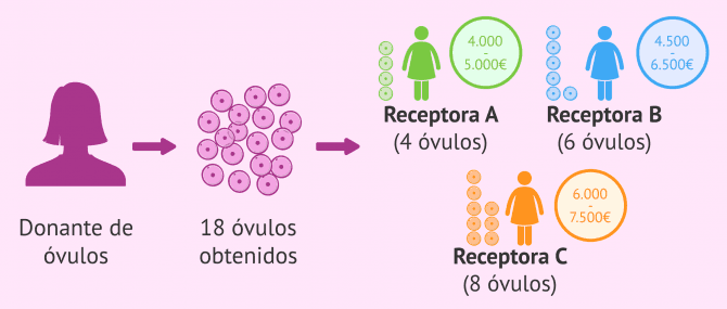 Imagen: Precio de la ovodonación compartida