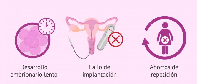 Imagen: ¿Cuándo está indicado el Fertile Chip?