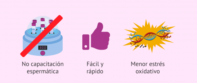 Imagen: ¿Qué beneficios tiene el Fertile Chip?