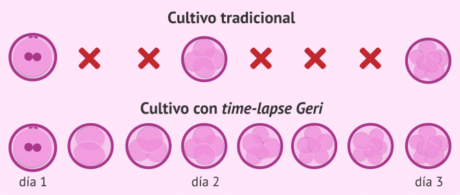 Imagen: comparación del cultivo embrionario tradicional y con sistema Time-Lapse Geri