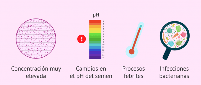 Imagen: Causas de la aglutinación de los espermatozoides