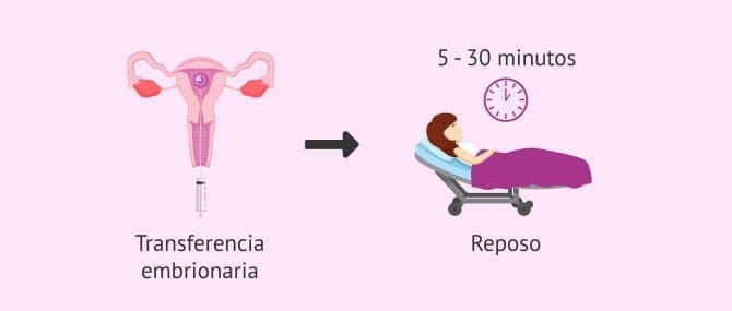 Imagen: Reposo tras ICSI