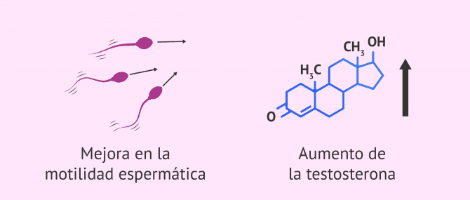 Imagen: Efectos vitamina D en fertilidad masculina