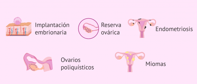 Imagen: Efectos de vitamina D en fertilidad femenina