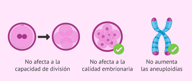 Imagen: Estimulación ovárica y calidad embrionaria