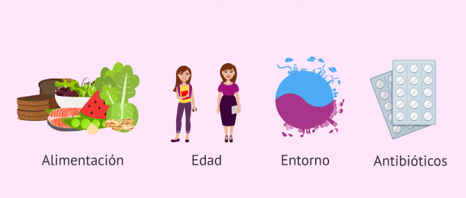 Imagen: Factores que influyen en la microbiota