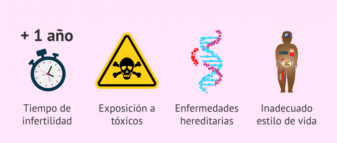 Imagen: Antecedentes médicos para el diagnóstico de infertilidad