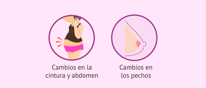 Imagen: Cambios en el cuerpo de la embarazada de 17 semanas