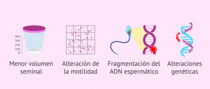 Imagen: Efecto de la edad sobre la calidad del semen