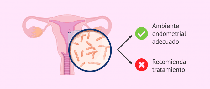 Imagen: Análisis del microbioma del endometrio