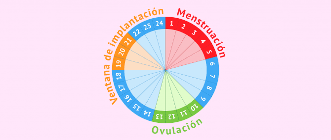 Imagen: ¿Qué es la ventana de implantación?