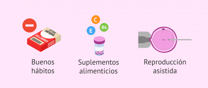 Imagen: Posible tratamiento de morfología espermática alterada