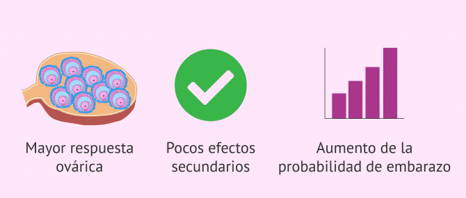 Imagen: ¿Qué beneficios aporta el uso de FSH?