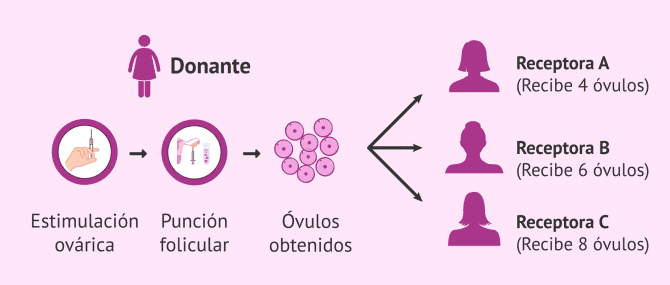 Imagen: ¿De qué depende el precio de la ovodonación compartida?