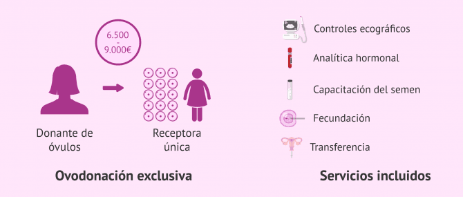 Imagen: Servicios incluidos en el coste de la ovodonación exclusiva