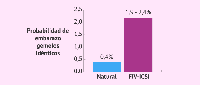 Imagen: Tener mellizos por FIV