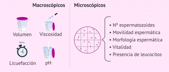 Imagen: Seminograma básico con los parámetros macroscópicos y microscópicos