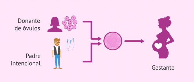 Imagen: Gestación subrogada para ser padre en solitario