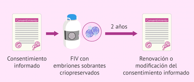 Imagen: Consentimiento informado sobre el destino de los embriones sobrantes