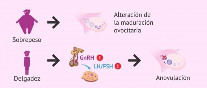 Imagen: Fertilidad y alimentación