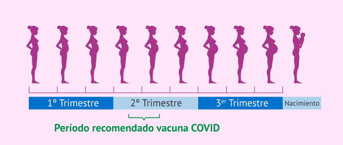 Imagen: Recomendación sobre cuándo vacunar frente a COVID-19 a una embarazada