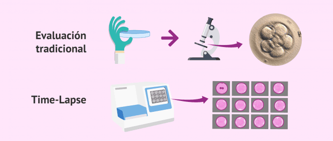 Imagen: ¿Cómo se evalúa la calidad de los embriones?