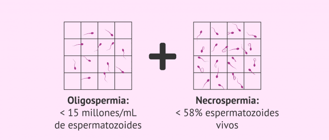 Imagen: oligonecrozoospermia