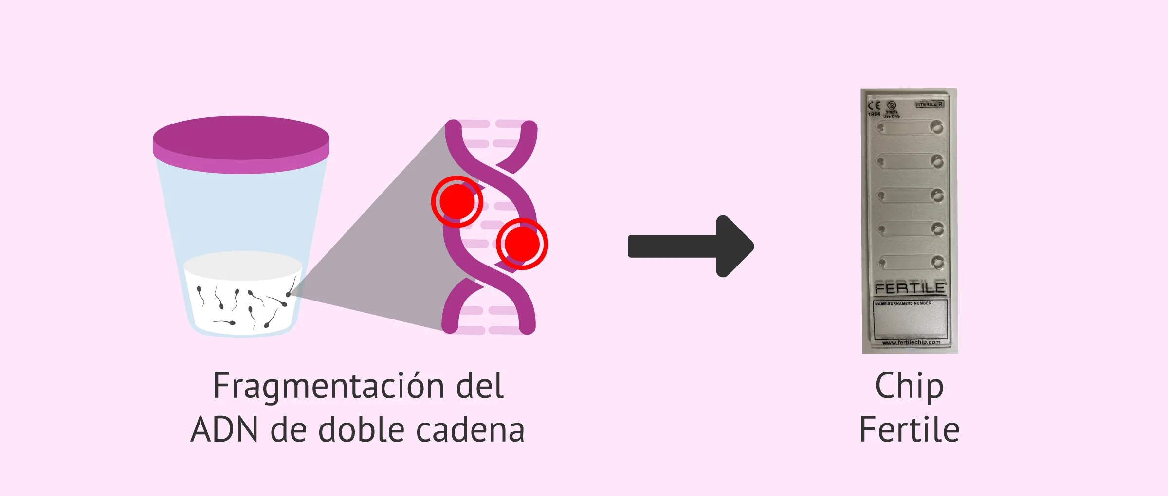 Chip fertile para la fragmentación del ADN espermático