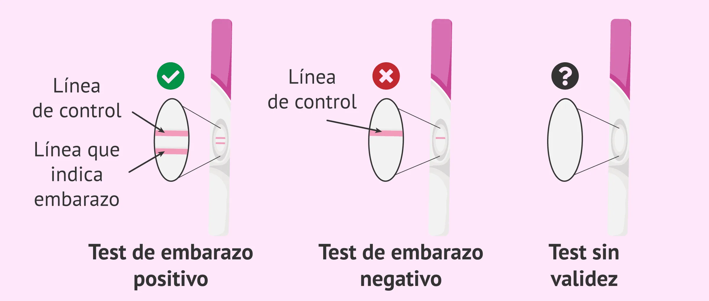 El predictor o test de embarazo casero