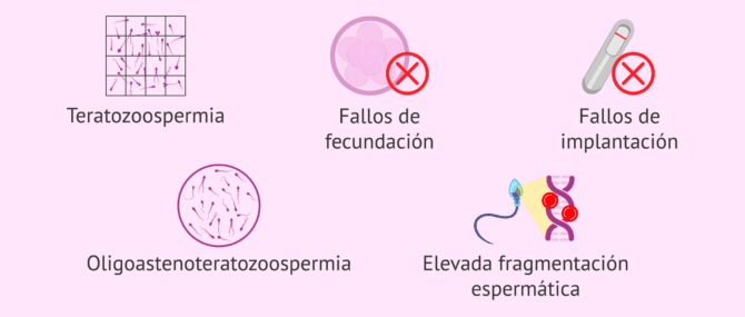 Imagen: Indicaciones del IMSI