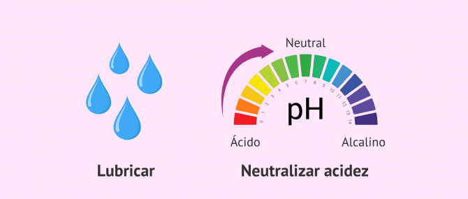 Imagen: Funciones del líquido preseminal