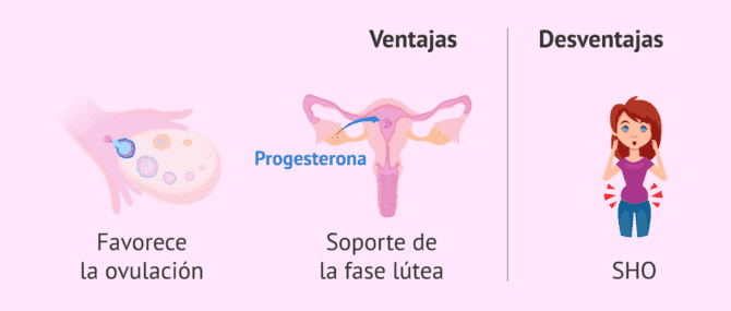 Que es la hormona hCG o Gonadotropina Corionica humana