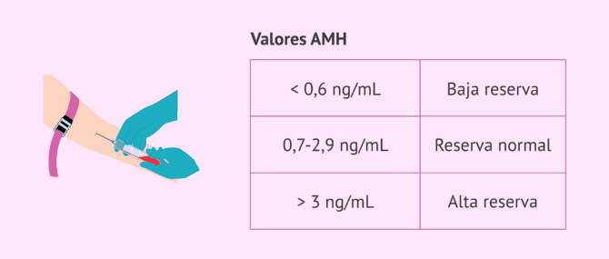 Imagen: Test de la hormona antimülleriana