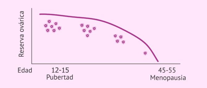Imagen: Disminución de la reserva ovárica con la edad