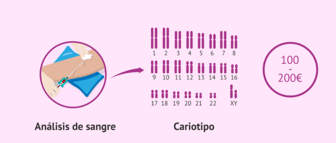 Imagen: Estudio del cariotipo