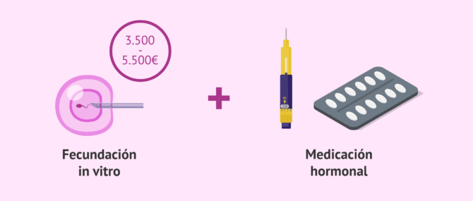 Imagen: ¿Cuál es el precio de la FIV?