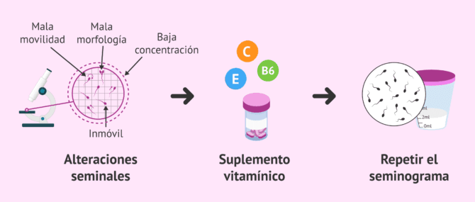 Imagen: Repetir el seminograma tras tomar suplementos