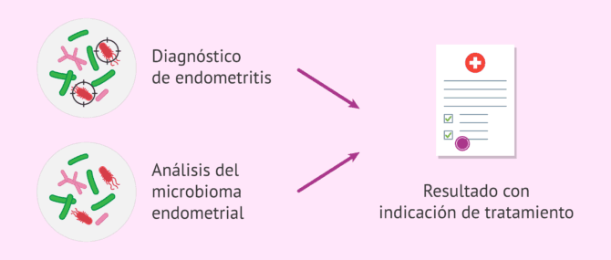 Imagen: Análisis del microbioma endometrial para favorecer la implantación