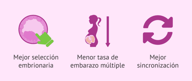 Imagen: Ventajas de la transferencia en blastocisto