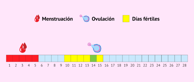 Imagen: ¿Cuáles son los días fértiles de la mujer?