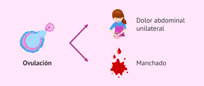 Imagen: Síntomas del dolor intermenstrual